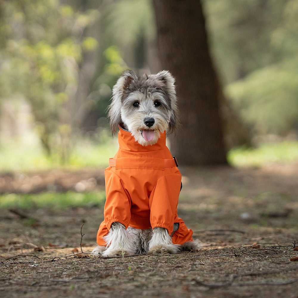 High Collar Rainproof Dog Raincoat
