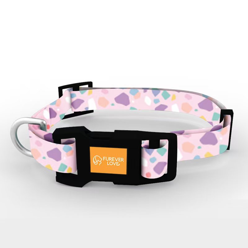 Stylish Pet Collar