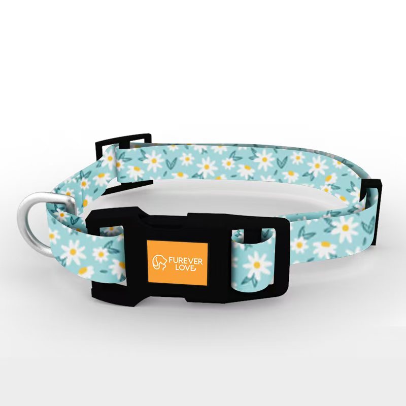 Stylish Pet Collar