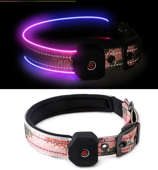LED Dog Collar: Night Safety Walking, Customisable Flashing Lights for Your Pet
