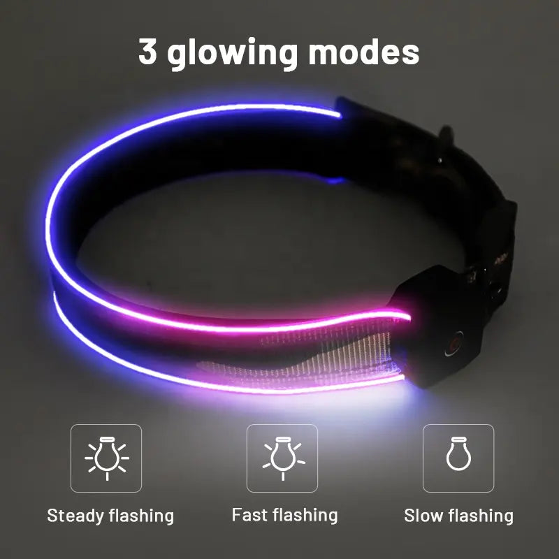 LED Dog Collar: Night Safety Walking, Customisable Flashing Lights for Your Pet