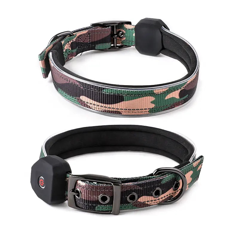 LED Dog Collar: Night Safety Walking, Customisable Flashing Lights for Your Pet