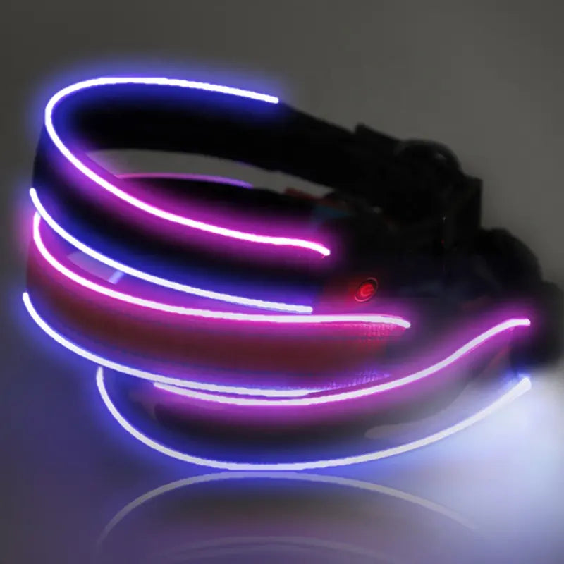 LED Dog Collar: Night Safety Walking, Customisable Flashing Lights for Your Pet