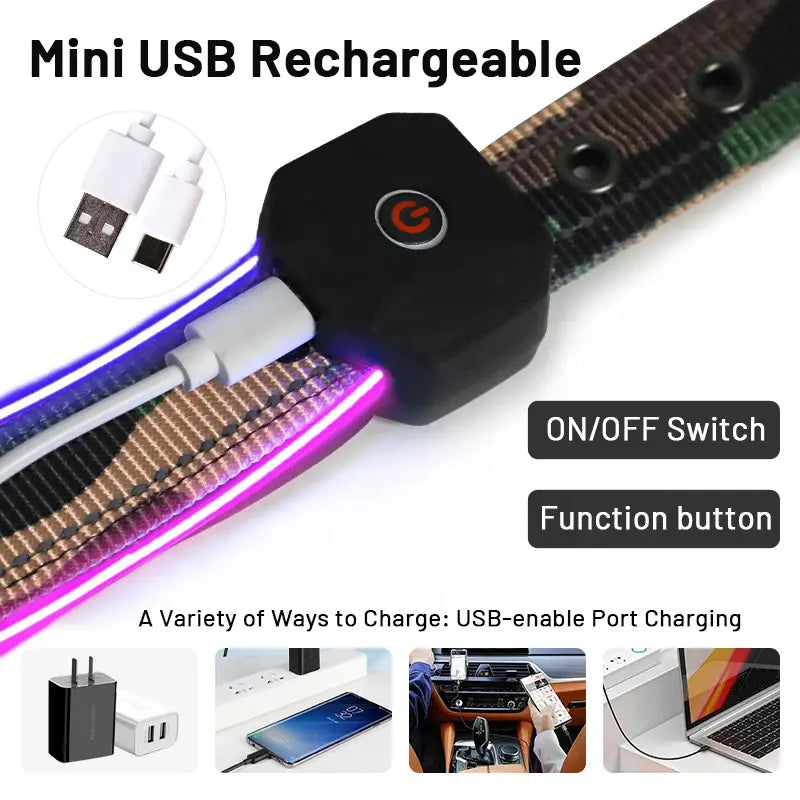 LED Dog Collar: Night Safety Walking, Customisable Flashing Lights for Your Pet