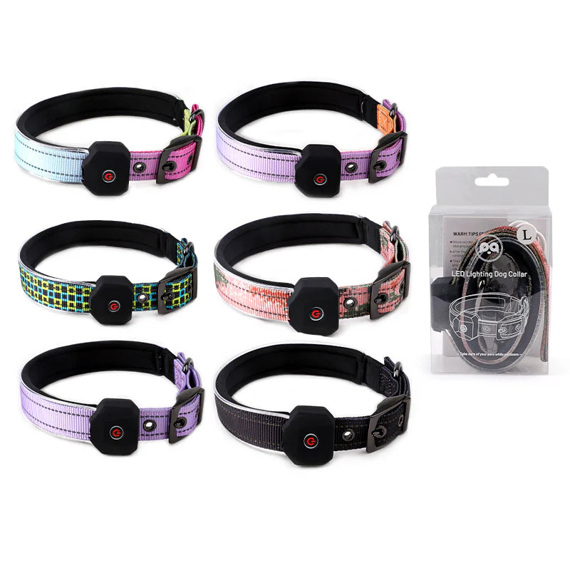 LED Dog Collar: Night Safety Walking, Customisable Flashing Lights for Your Pet