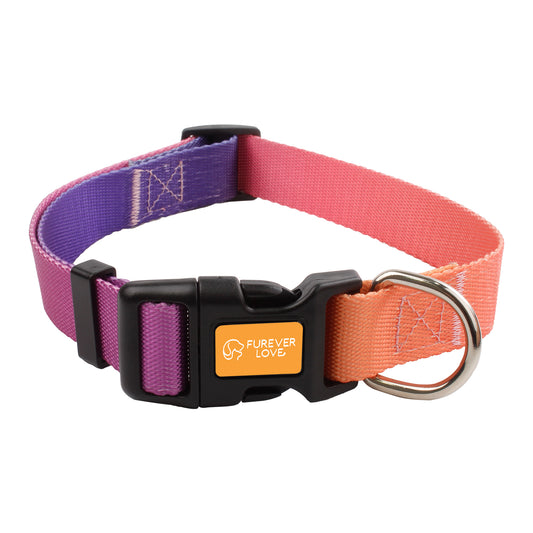 Pet Collar