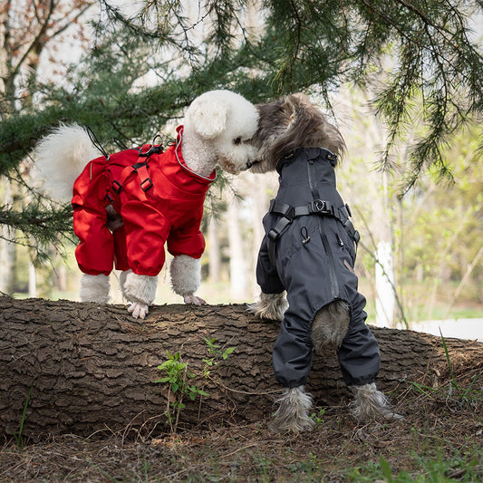 High Collar Rainproof Dog Raincoat