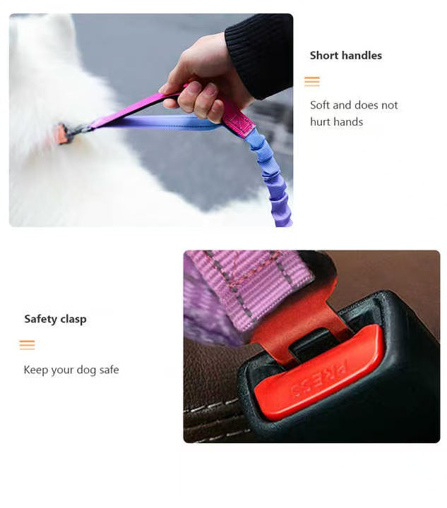 Anti-Shock Multifunctional Dog Leashes