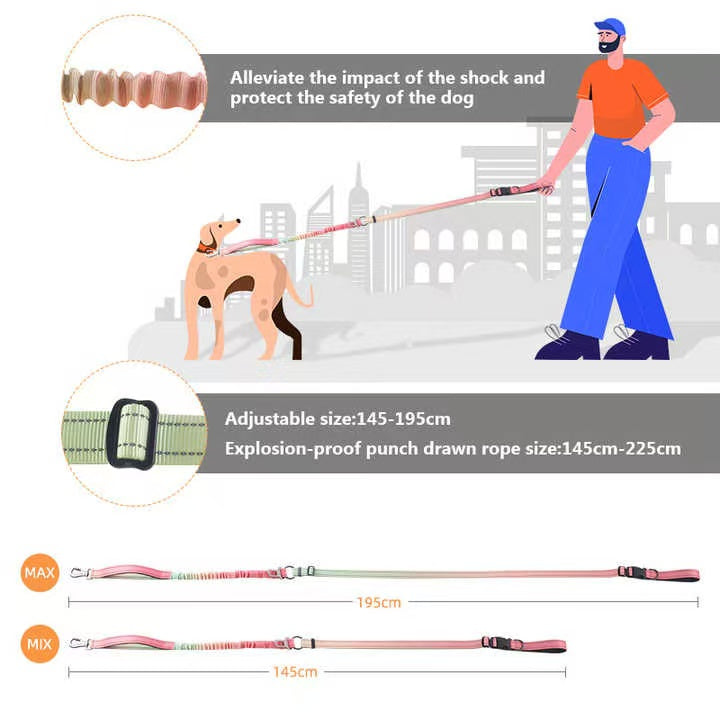 Anti-Shock Multifunctional Dog Leashes