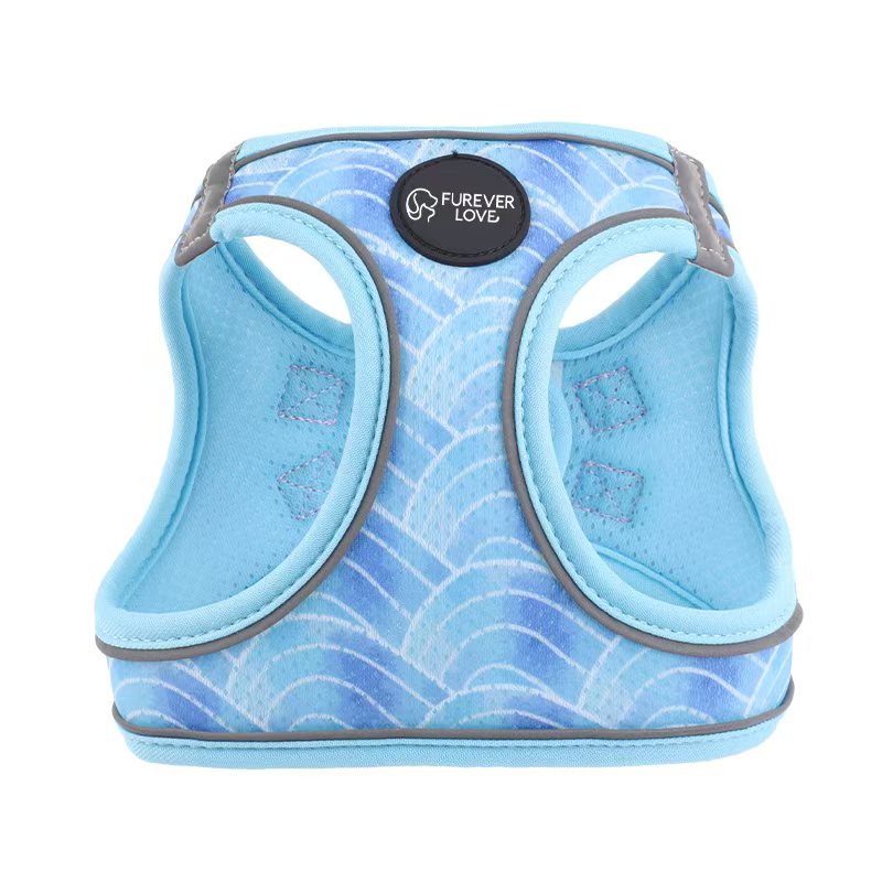 Pet harness - for small dog and cat