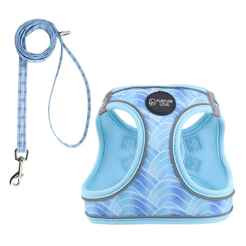 Pet harness - for small dog and cat