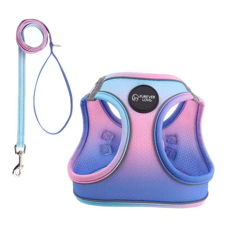 Pet harness - for small dog and cat