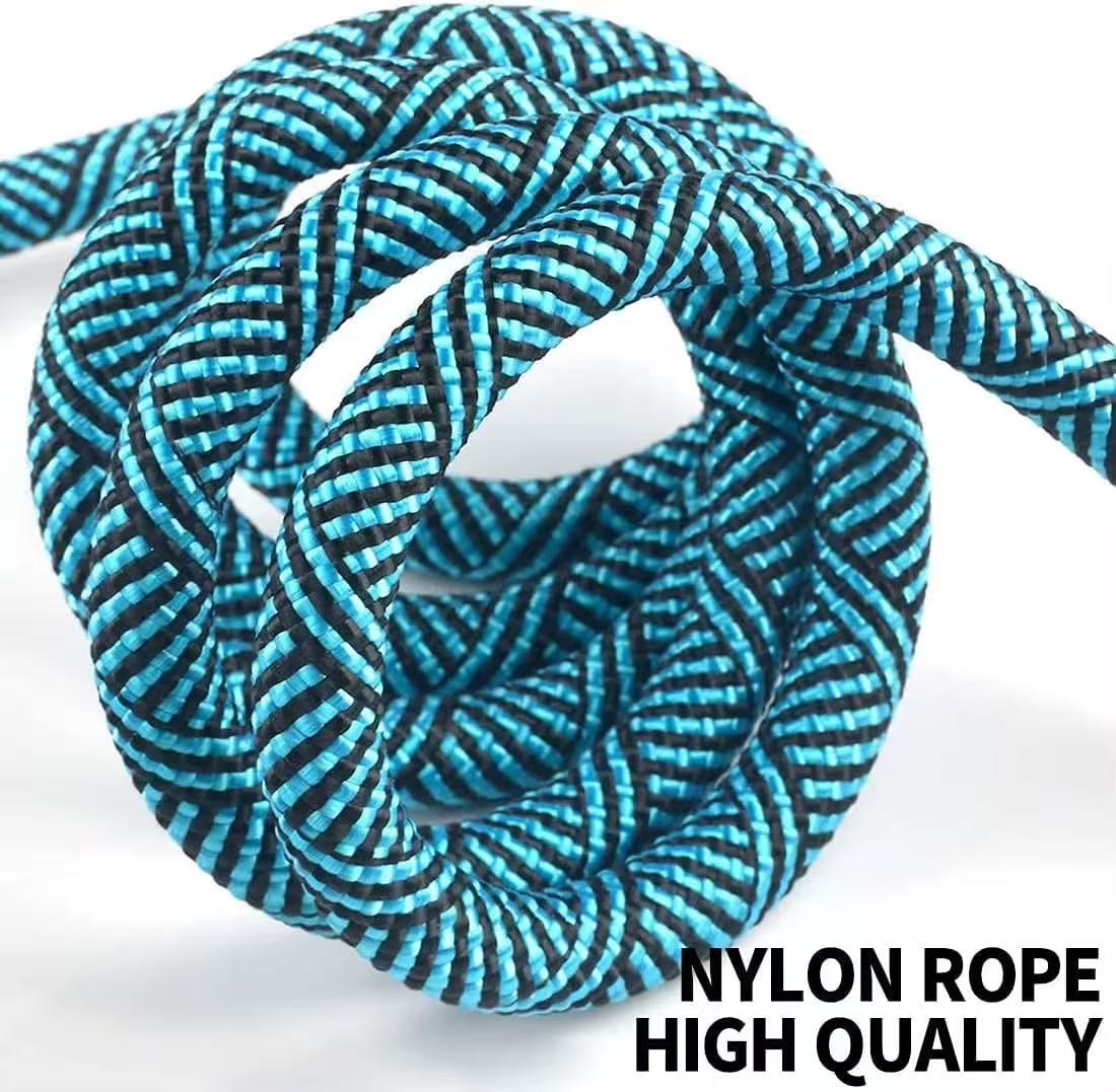 5 FT strong Dog Leash with Comfortable Padded Handle and Highly Reflective Threads for Medium and Large Dogs