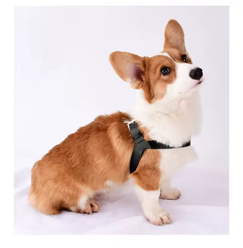 Hot sale luxury designer cool vegan leather dog harness set