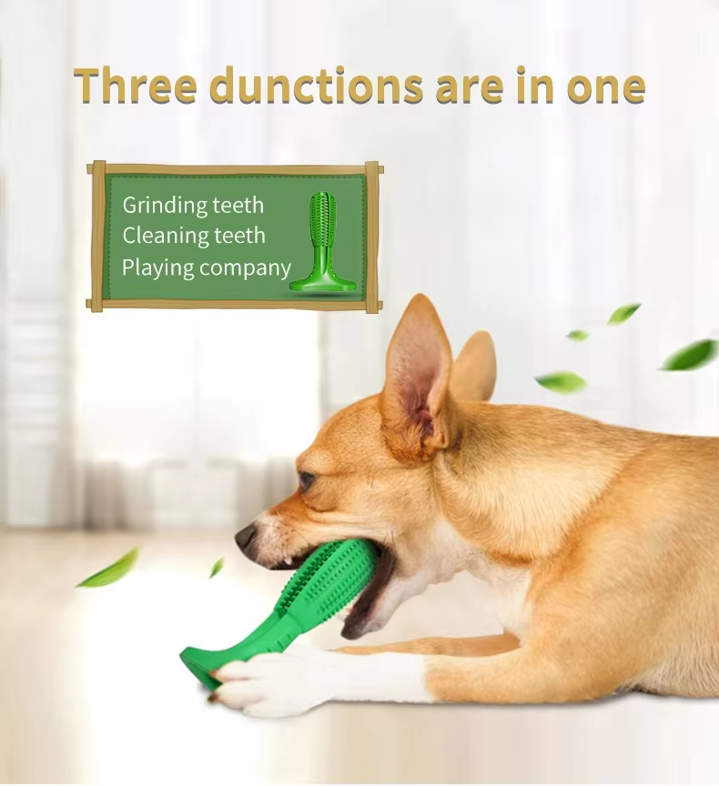 Dental Care Brushing Stick