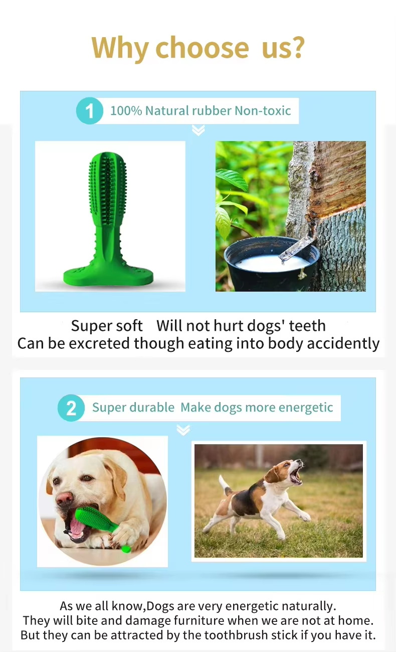 Dental Care Brushing Stick