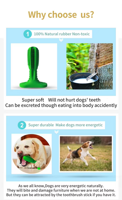 Dental Care Brushing Stick