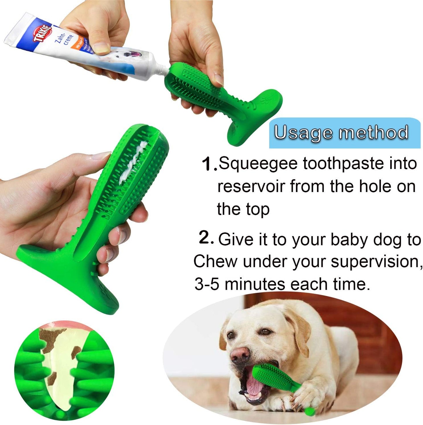 Dental Care Brushing Stick