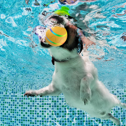 GlowMotion Pet Ball: LED Flashlight, Motion-Activated Fun for Dogs & Cats