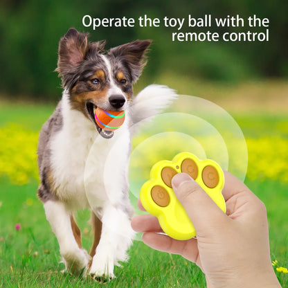 GlowMotion Pet Ball: LED Flashlight, Motion-Activated Fun for Dogs & Cats