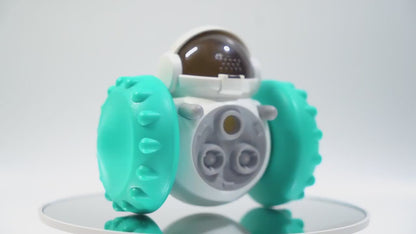 Dog Treat Dispenser Toys